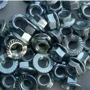 Flange Nuts